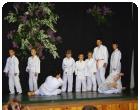 Judo 8.5.2011