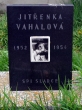 111 Vhalova