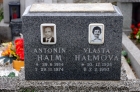 133 Halmova